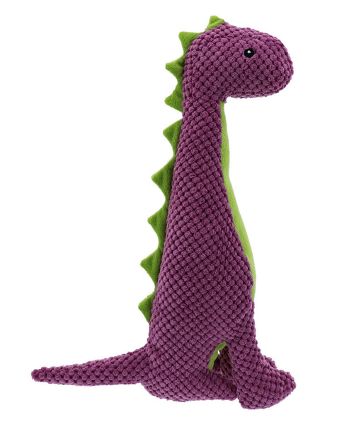Dino Chewy Toy
